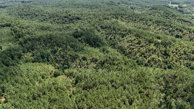 0 Big Opposum Creek Rd, Waynesboro, TN 38485