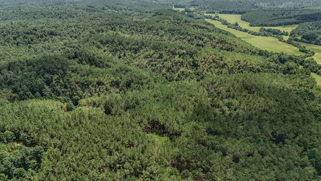 0 Big Opposum Creek Rd, Waynesboro, TN 38485