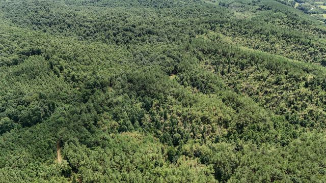0 Big Opposum Creek Rd, Waynesboro, TN 38485