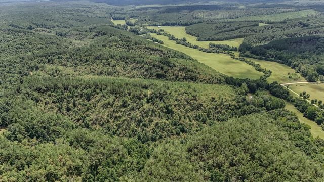 0 Big Opposum Creek Rd, Waynesboro, TN 38485