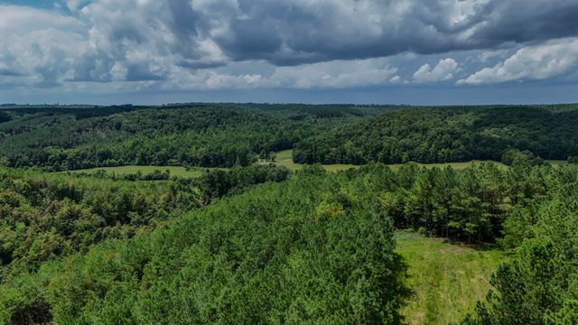 0 Big Opposum Creek Rd, Waynesboro, TN 38485