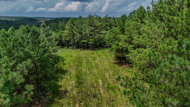 0 Big Opposum Creek Rd, Waynesboro, TN 38485