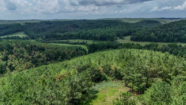 0 Big Opposum Creek Rd, Waynesboro, TN 38485