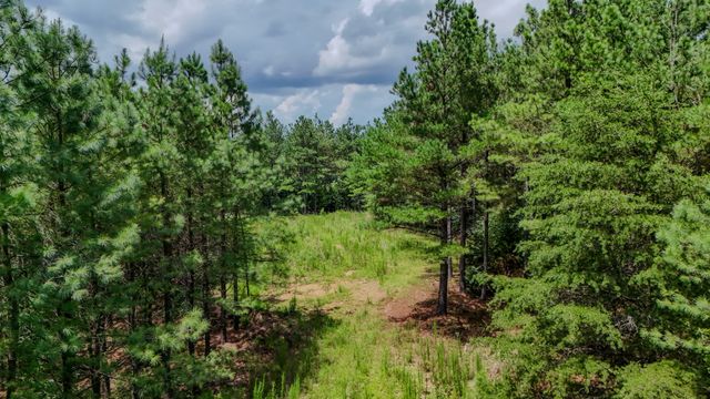0 Big Opposum Creek Rd, Waynesboro, TN 38485
