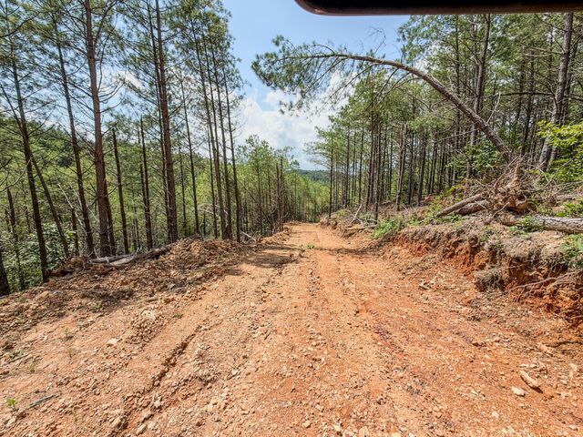 0 Big Opposum Creek Rd, Waynesboro, TN 38485