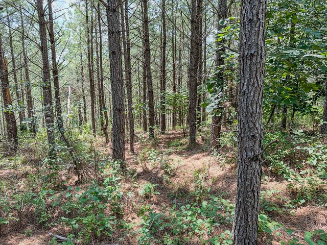0 Big Opposum Creek Rd, Waynesboro, TN 38485