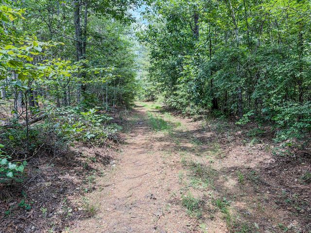 0 Big Opposum Creek Rd, Waynesboro, TN 38485
