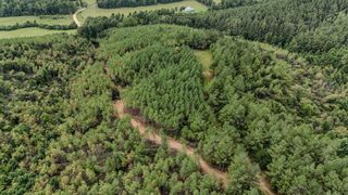 0 Big Opposum Creek Rd, Waynesboro, TN 38485