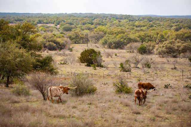 2810 Bridlewood Ranches Dr., San Marcos, TX 78666