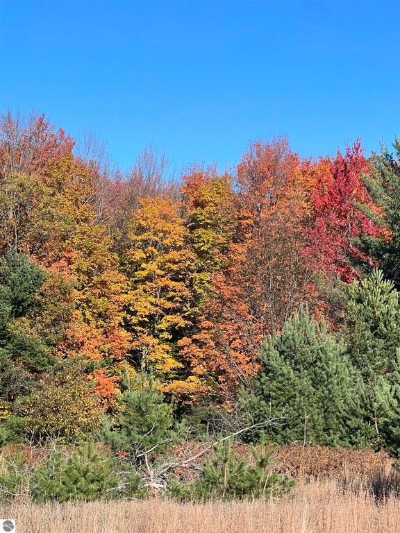 247 Blue Heron Drive, Kalkaska, MI 49646