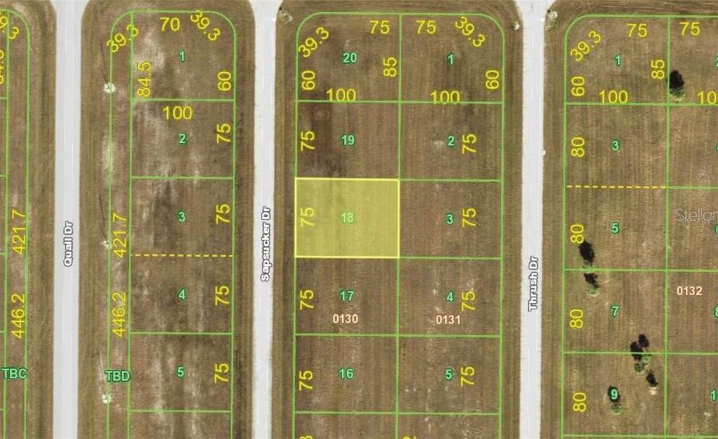 16 SAPSUCKER DRIVE, Placida, FL 33946