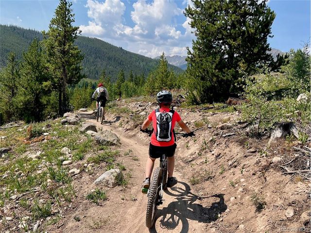 570 Bills Ranch Rd 335, Frisco, CO 80443