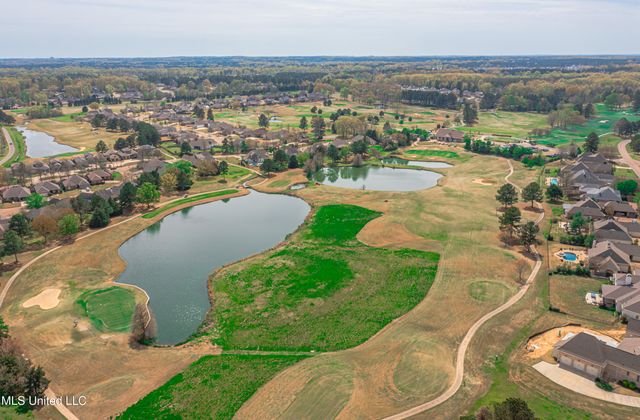 118 Camden Way, Madison, MS 39110