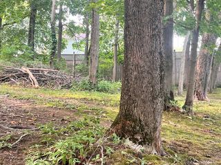 0 Lanes End, Ipswich, MA 01938