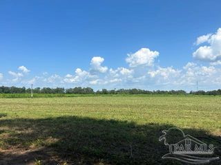 3660 Hazel Godwin Rd, Jay, FL 32565