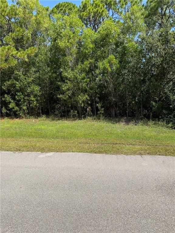 3911 NW 45th ST, CAPE CORAL, FL 33993 — photo 2