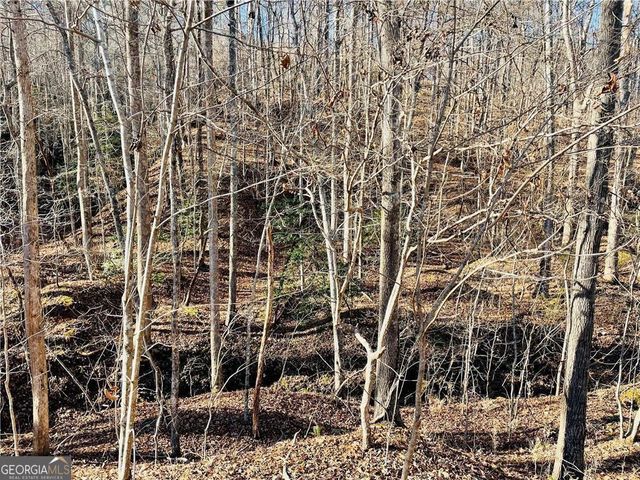 49 Old Stamp Mill Road, Dahlonega, GA 30533