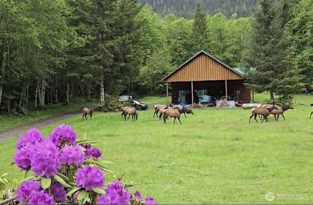 4244 Duckabush Road, Brinnon, WA 98320