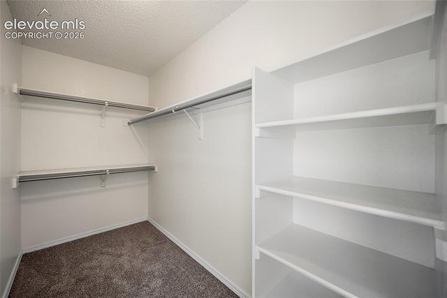 2248 Ramsgate Terrace, Colorado Springs, CO 80919