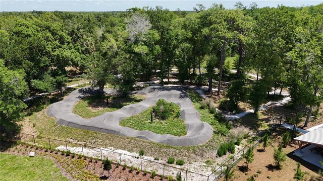 22294 STORYBOOK CABIN WAY, Land O Lakes, FL 34637