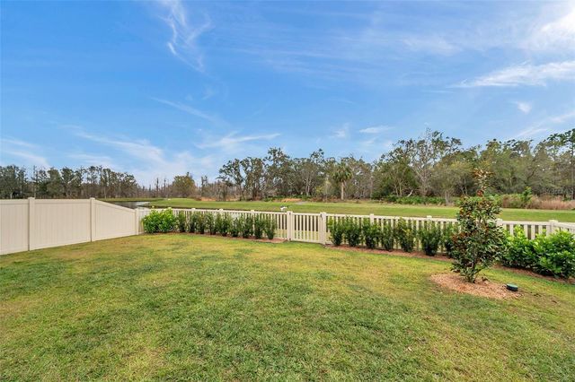 22294 STORYBOOK CABIN WAY, Land O Lakes, FL 34637
