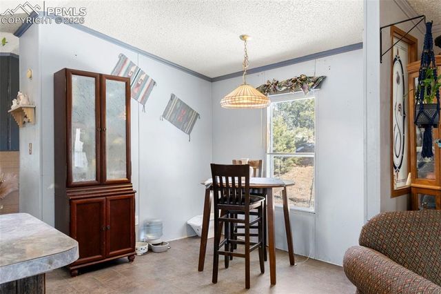 171 Star View Trail, Divide, CO 80814