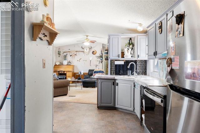 171 Star View Trail, Divide, CO 80814