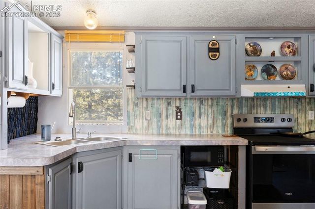 171 Star View Trail, Divide, CO 80814