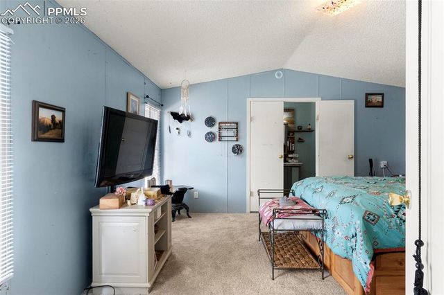 171 Star View Trail, Divide, CO 80814