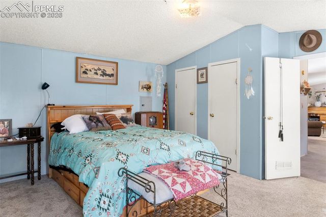 171 Star View Trail, Divide, CO 80814