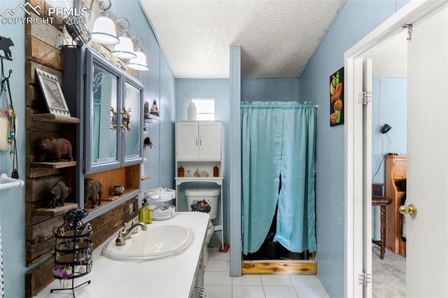 171 Star View Trail, Divide, CO 80814