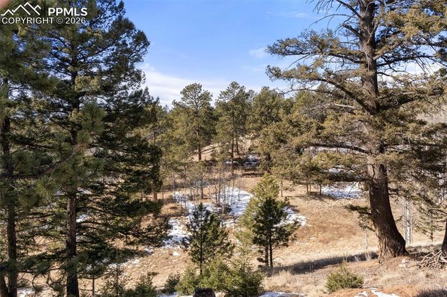 171 Star View Trail, Divide, CO 80814