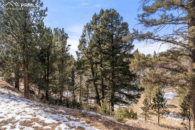 171 Star View Trail, Divide, CO 80814