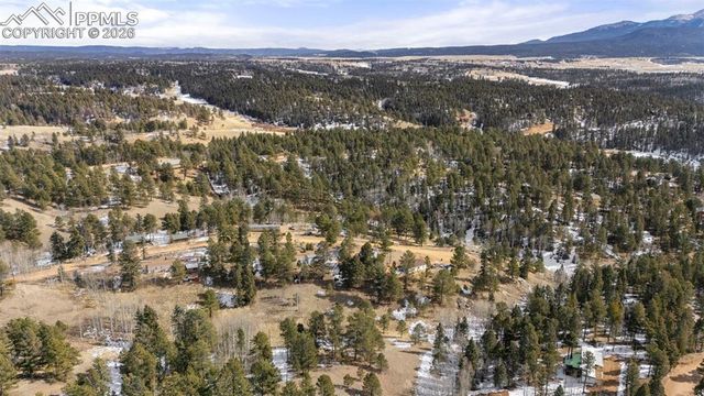 171 Star View Trail, Divide, CO 80814