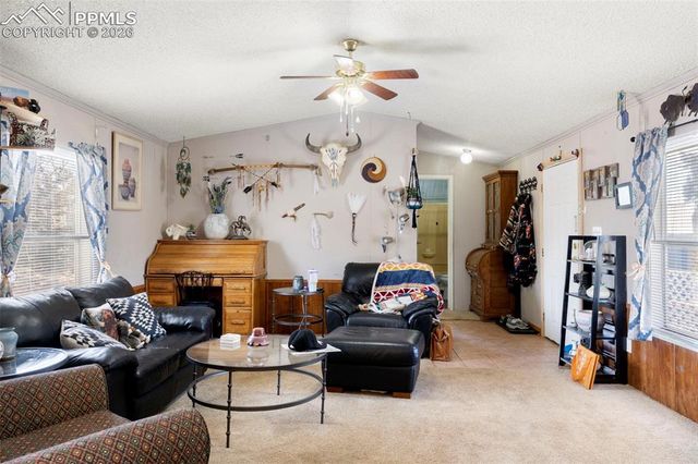 171 Star View Trail, Divide, CO 80814