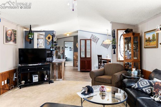 171 Star View Trail, Divide, CO 80814