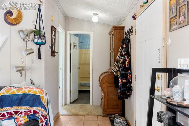 171 Star View Trail, Divide, CO 80814