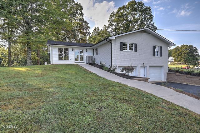 568 Painter Road, Fall Branch, TN 37656