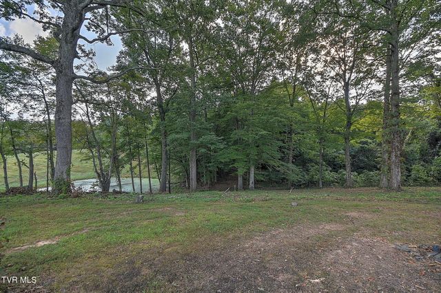 568 Painter Road, Fall Branch, TN 37656