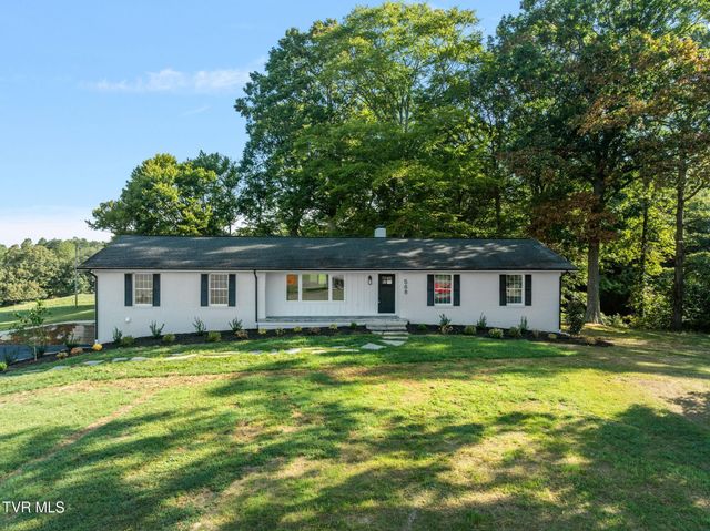 568 Painter Road, Fall Branch, TN 37656