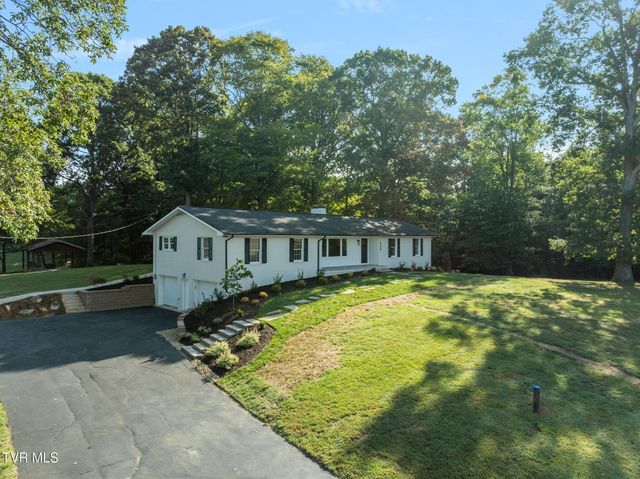 568 Painter Road, Fall Branch, TN 37656