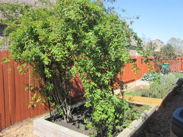 8020 Serenity Drive, Pearland, TX 77584