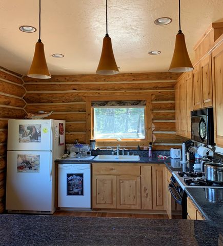 490 Bear Paw Trail, Trinity Center, CA 96091