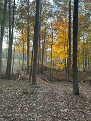 5-3 Long Cove Drive, Lincolnton, GA 30817