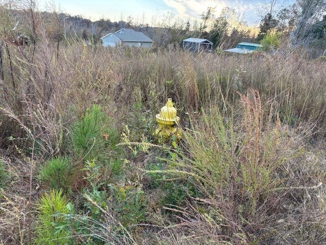 235 Kendall Drive, Griffin, GA 30224