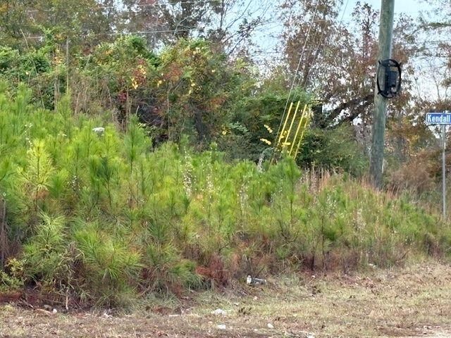 235 Kendall Drive, Griffin, GA 30224