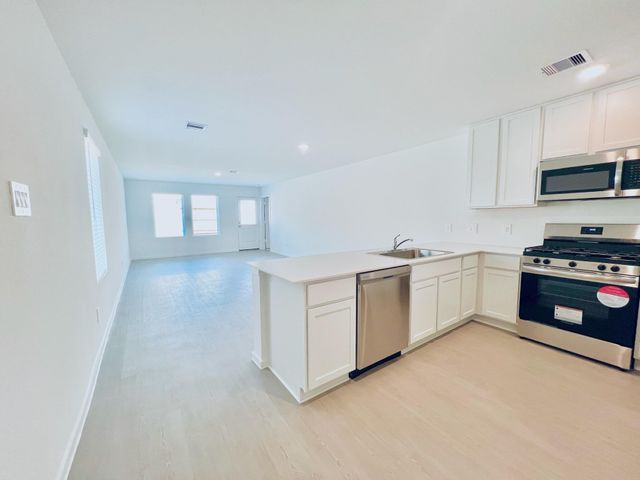 1367 Diamond Carnation Drive, Conroe, TX 77301