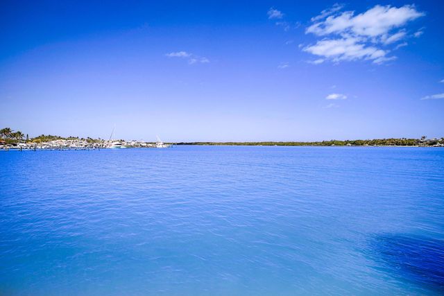 300 Intracoastal Place 101, Jupiter, FL 33469