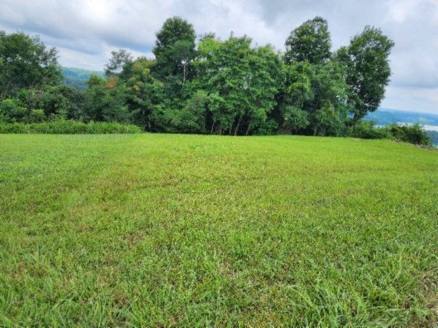 0 Sunfish Ln, Hilham, TN 38568