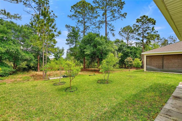 17197 CAGAN CROSSINGS BOULEVARD, Clermont, FL 34714